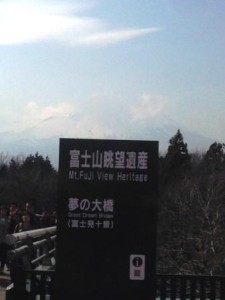 fuji