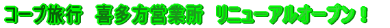 R[vs@쑽cƏЂXɃj[AI[v