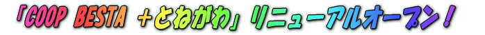 悢斾IƂ˂XuCOOP BESTA {Ƃ˂vƂăI[v