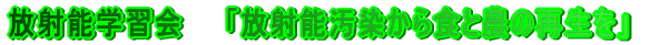 ˔\HƔ_̍Đ